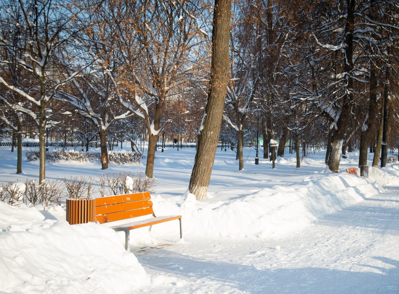 В Коломне благоустроят сквер на Окском проспекте в районе Бочманово