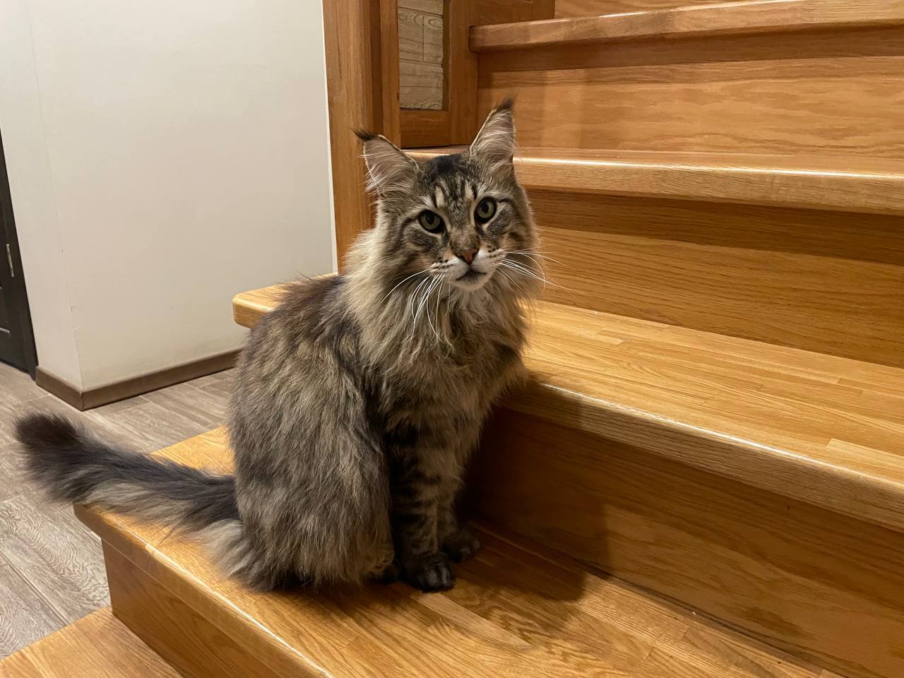 Сегодня встретился с жительницей Жюльверна Алёной, вдовой участника СВО, и ее соседками, Ларисой и Татьяной, которые глубоко погружены в историю поселка и знают все нюансы проблемы Сегодня встретился с жительницей Жюльверна Алёной, вдовой участника СВО, и ее соседками, Ларисой и Татьяной, которые глубоко погружены в историю поселка и знают все нюансы проблемы