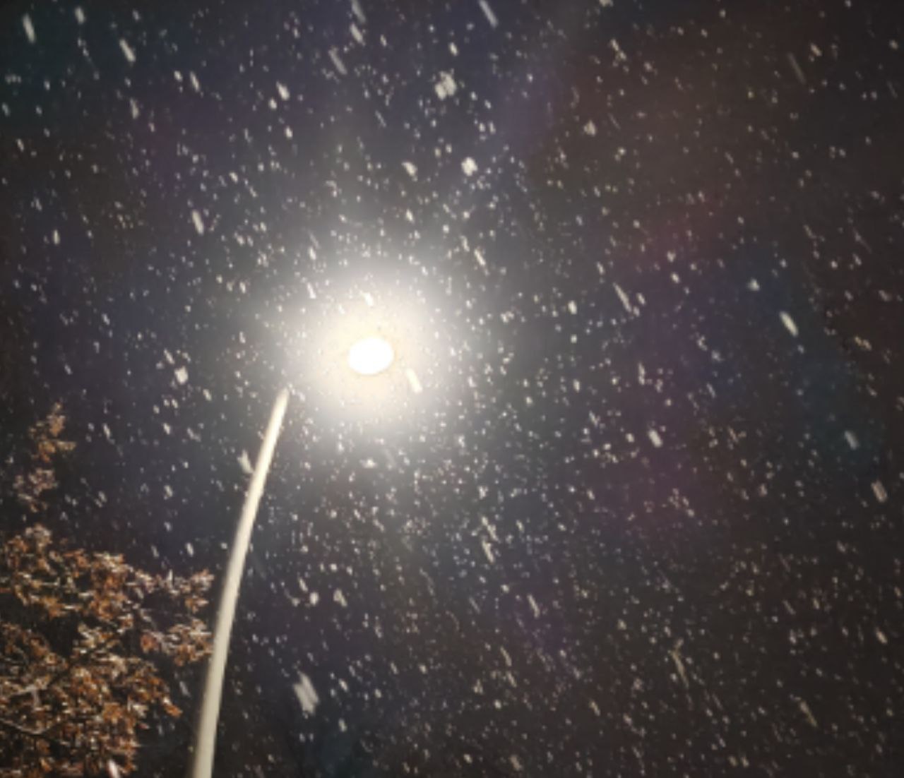 Сегодня вечером в Московский регион вернется сильный снегопад