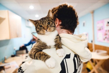 ��� �������� ������� � ��������