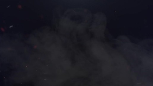 Татьяна Витушева: Фронтовые кадры работы винтокрылой эскадрильи от парней «Ури»