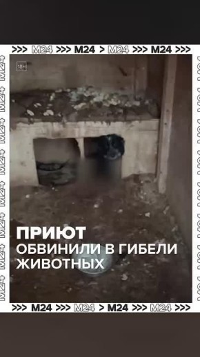 � ������������ ������ �������� ���� �� ������� 250 ����� � �����