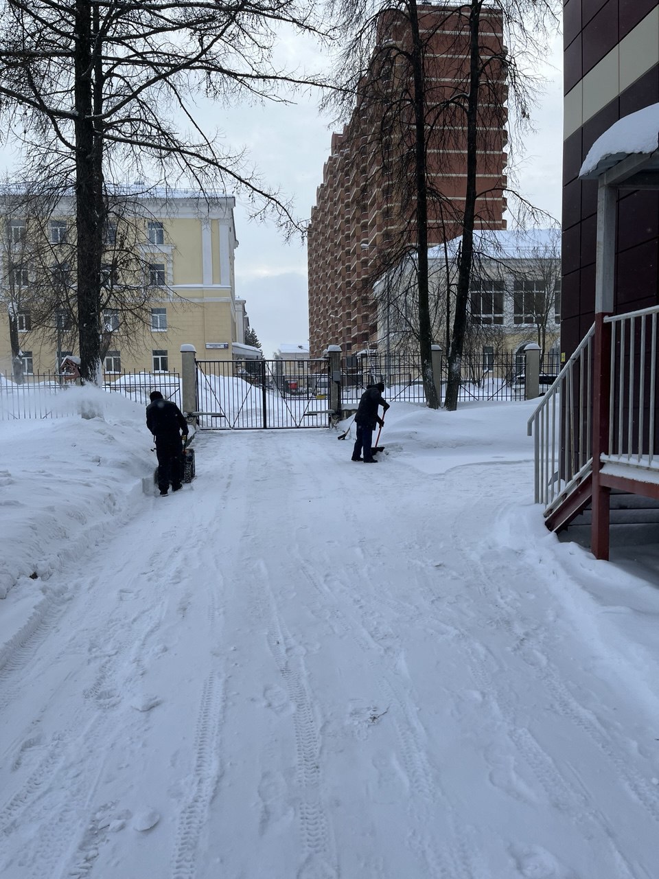 Дорога к знаниям и здоровью: в Долгопрудном очищают от снега территории школ и поликлиник Дорога к знаниям и здоровью: в Долгопрудном очищают от снега территории школ и поликлиник