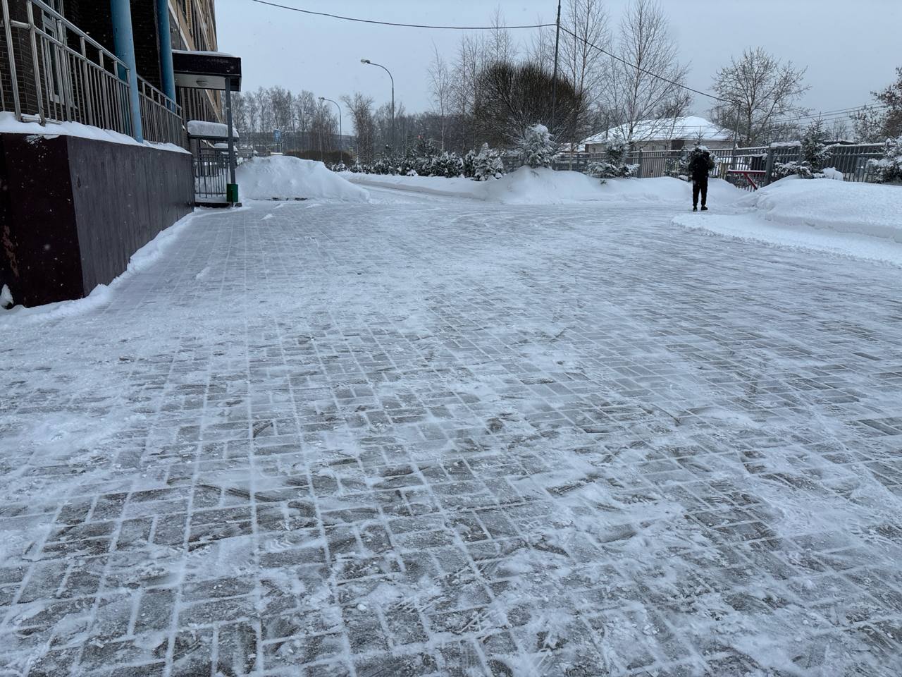 Дорога к знаниям и здоровью: в Долгопрудном очищают от снега территории школ и поликлиник Дорога к знаниям и здоровью: в Долгопрудном очищают от снега территории школ и поликлиник