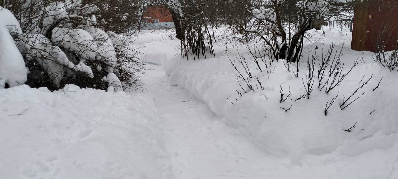 Студентыволонтёры пришли на помощь ветеранупедагогу Студентыволонтёры пришли на помощь ветеранупедагогу