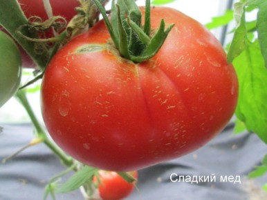 ������� ��� �����: ������� ����� � ��������� ���� ��� ������� � ���������