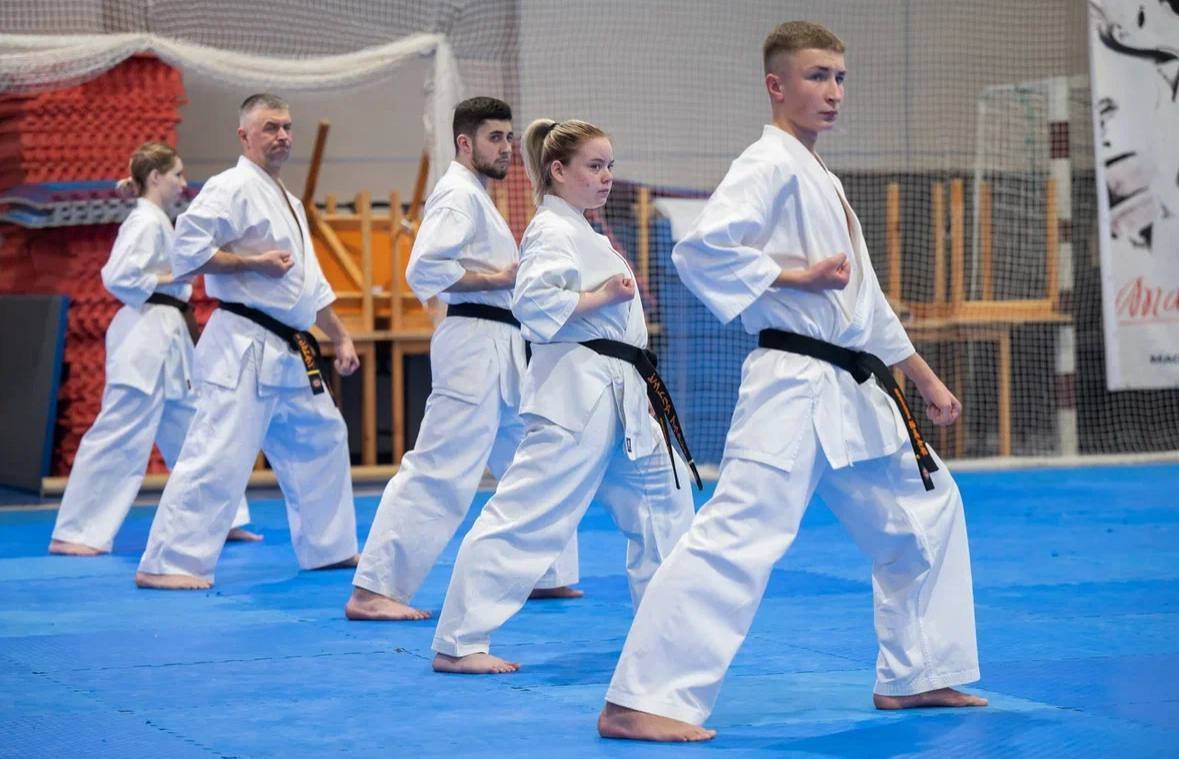 Успех раменских каратистов на Всероссийской детской школе в Чехове Успех раменских каратистов на Всероссийской детской школе в Чехове