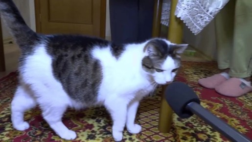 � ���������� �������� ��������� ���� ������ � �������� ������� � �������� ��������!