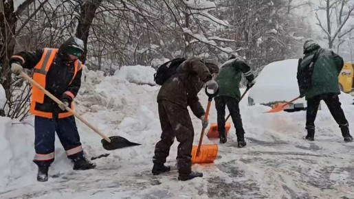 ������������ ������ ������� ���� �� ����� 9 ���