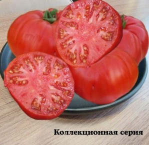 ����� ������: ������ ������ � ������������ � ��������� ��������