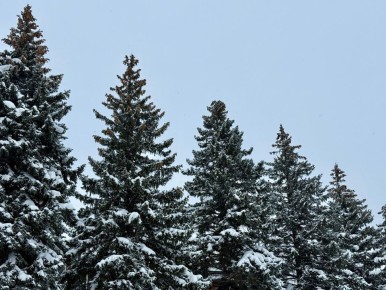 ������� � ������ �� 15 ����� � ���������� ������� ��������� ����, ������� �������, ����������