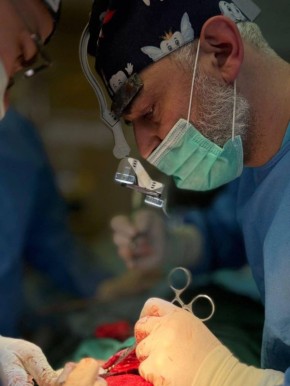 ������������ ������� �������� ���� �������� ����� ������� �� ���������