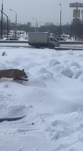 �������, �������� �� ��������, �������� �� ���������� �����