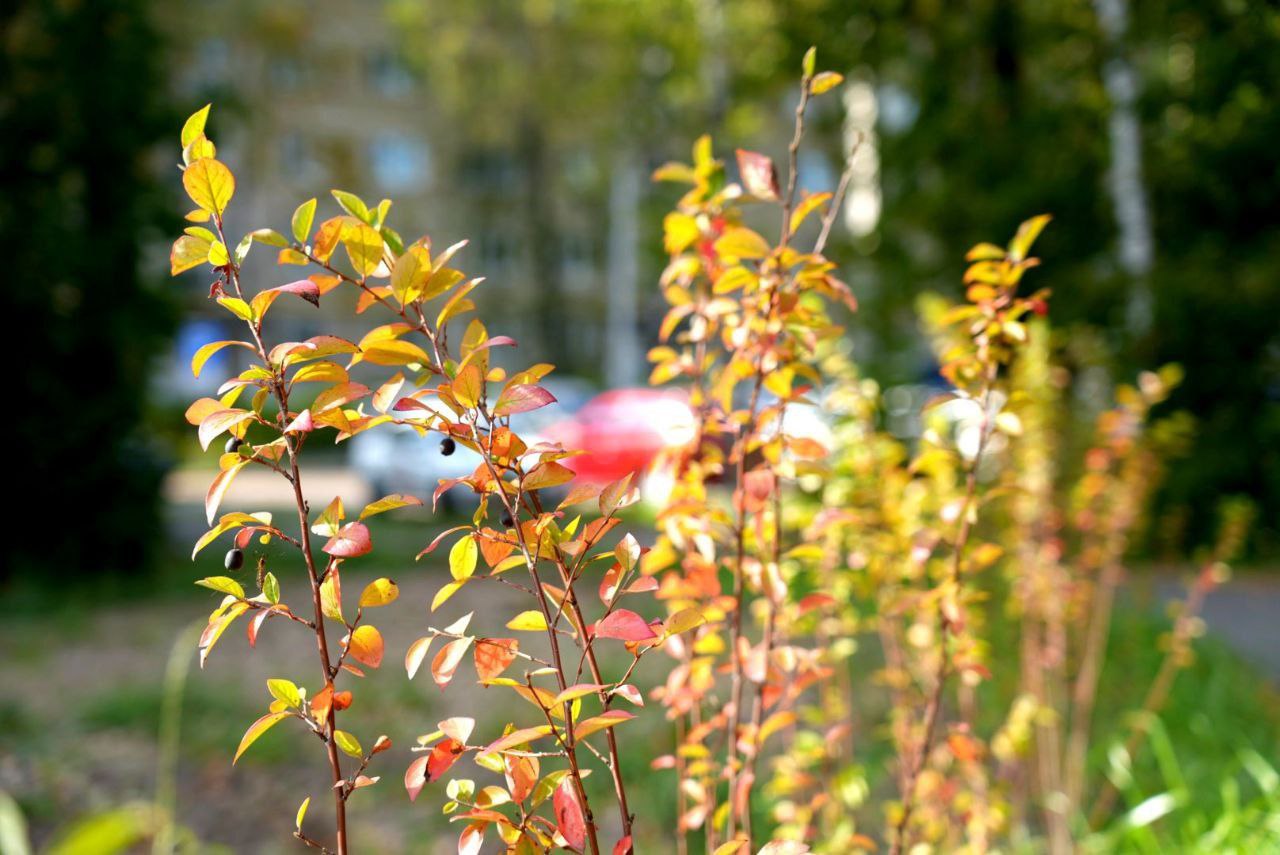 В этом году по программе Губернатора «Формирование современной комфортной городской среды» мы приведём в порядок 11 территорий в разных уголках округа В этом году по программе Губернатора «Формирование современной комфортной городской среды» мы приведём в порядок 11 территорий в разных уголках округа