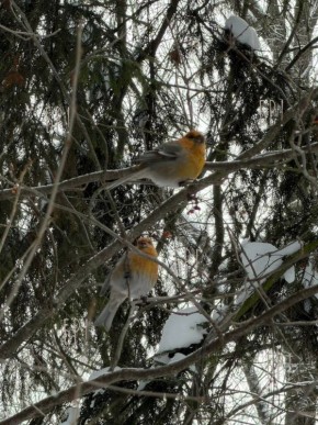 � �������� ������� �� �������� �������� ����, �� ����������� ��� �����������