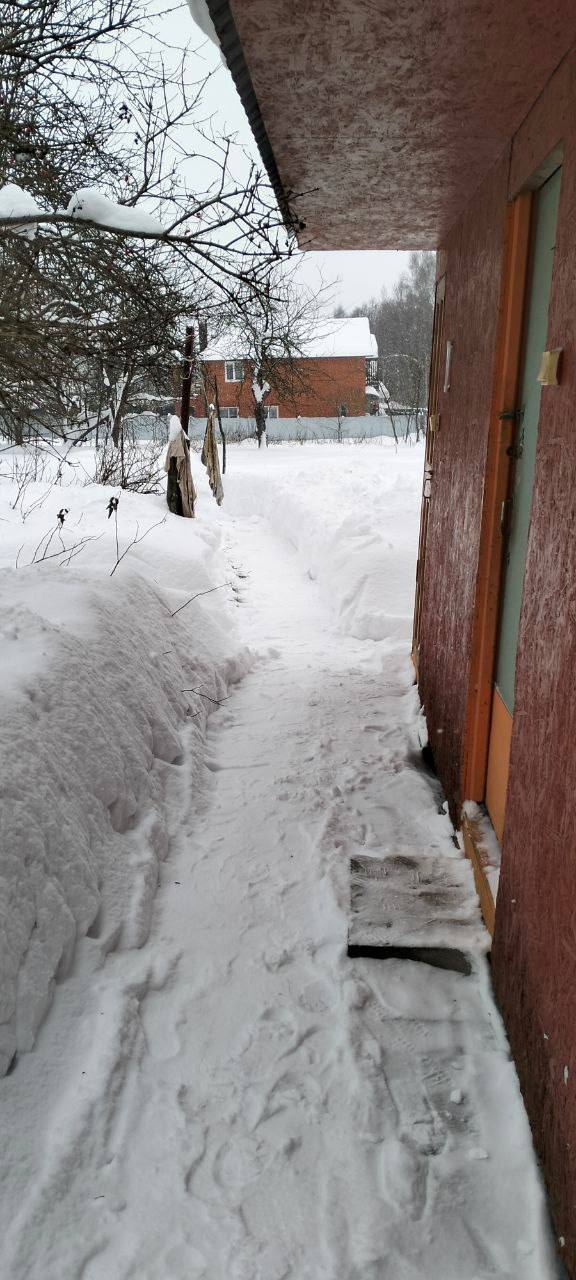 Студентыволонтёры пришли на помощь ветеранупедагогу Студентыволонтёры пришли на помощь ветеранупедагогу