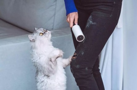 ��� ������ ������ �������� �� ����� ������: ������� ������� ��� ���������� ������