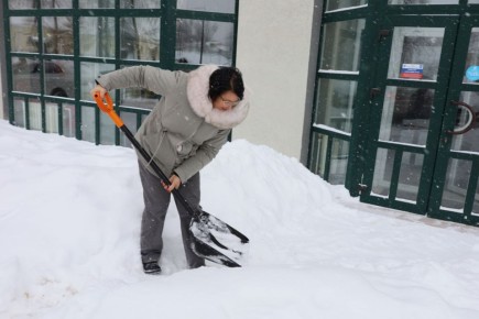 ����������� ������ �� �������� �� ����������� ���������� ������� ���� �� ������������� ������ ���������, �������� �������� ���������� ����������� ��������������� ���������