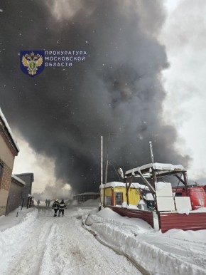 Истринская городская прокуратура взяла под контроль выяснение причин пожара в здании на территории агрокомплекса в деревне Духанино