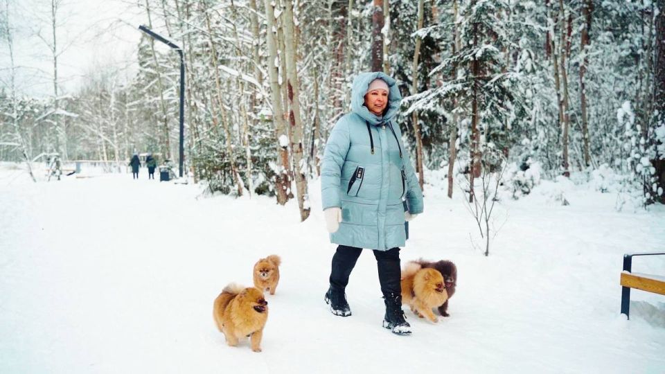 ����� 1,2 ���. ������ �� ����������� �������� �������� � ����������� ��������� ����� ������������ ������ ��������