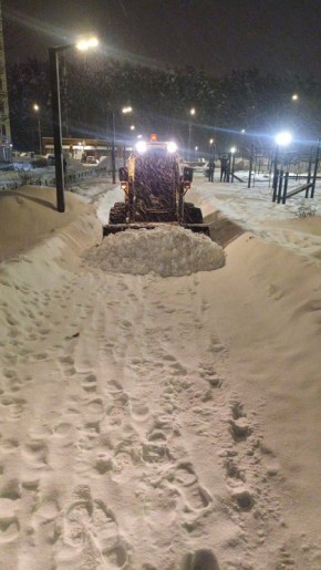 ��������� �������: � ������ ���� ������������ ������ ������ ����� �� ������ �����