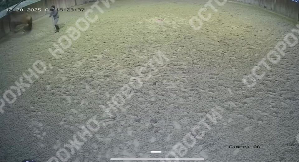 � ���� ��������� ����� �������� ���� � ������������ �������