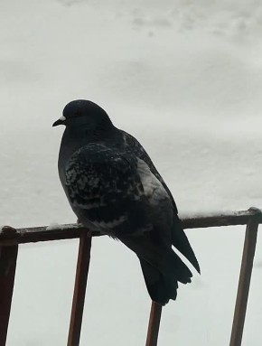 Доброе утро, Серпухов!. Рабочая неделя уже почти позади