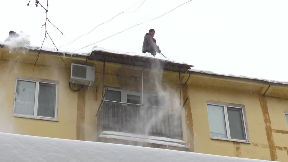 ���� � ��������: ������ ������������ ����� �������