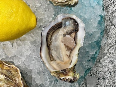 ����� ������: ��� ������� ������ ���� � ��� ������� � ����� ������