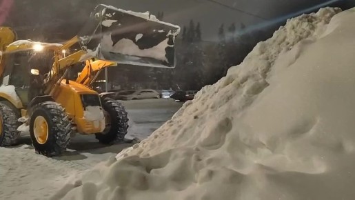 ������������ ������ ������� ������ ������ �����