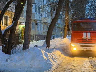 � ������������ �� ������ ������� ������ ���������������� ����