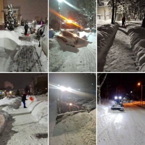 ������� ��������: ������ ���� ����������. �� ���������� ������������, ��������������