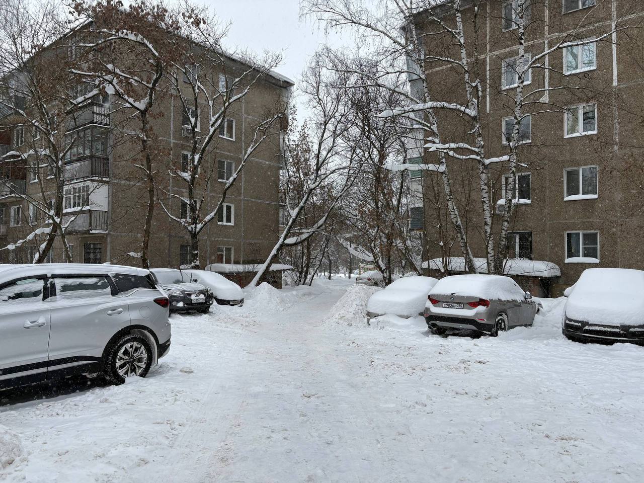 Студенты авиационного техникума имени В.А. Казакова и колледжа «Московия» помогали в уборке территории города от снега Студенты авиационного техникума имени В.А. Казакова и колледжа «Московия» помогали в уборке территории города от снега