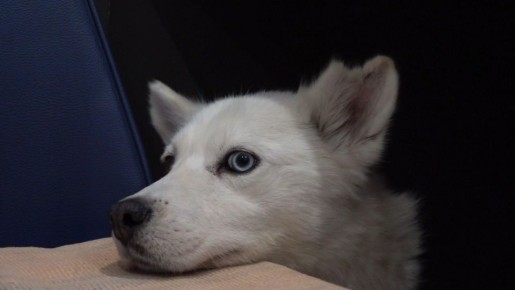 �������� ������ ����� �� ������������ ������ � ��������� ������ ����� ������� ������� � ����������� ��������� ��������