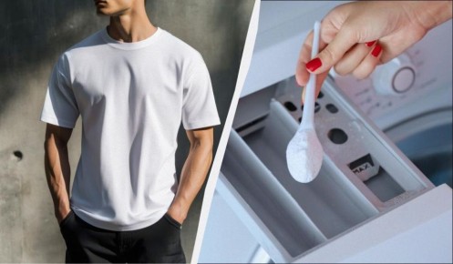 ��� ������� ������� ������: ����������� ������ �� �����������