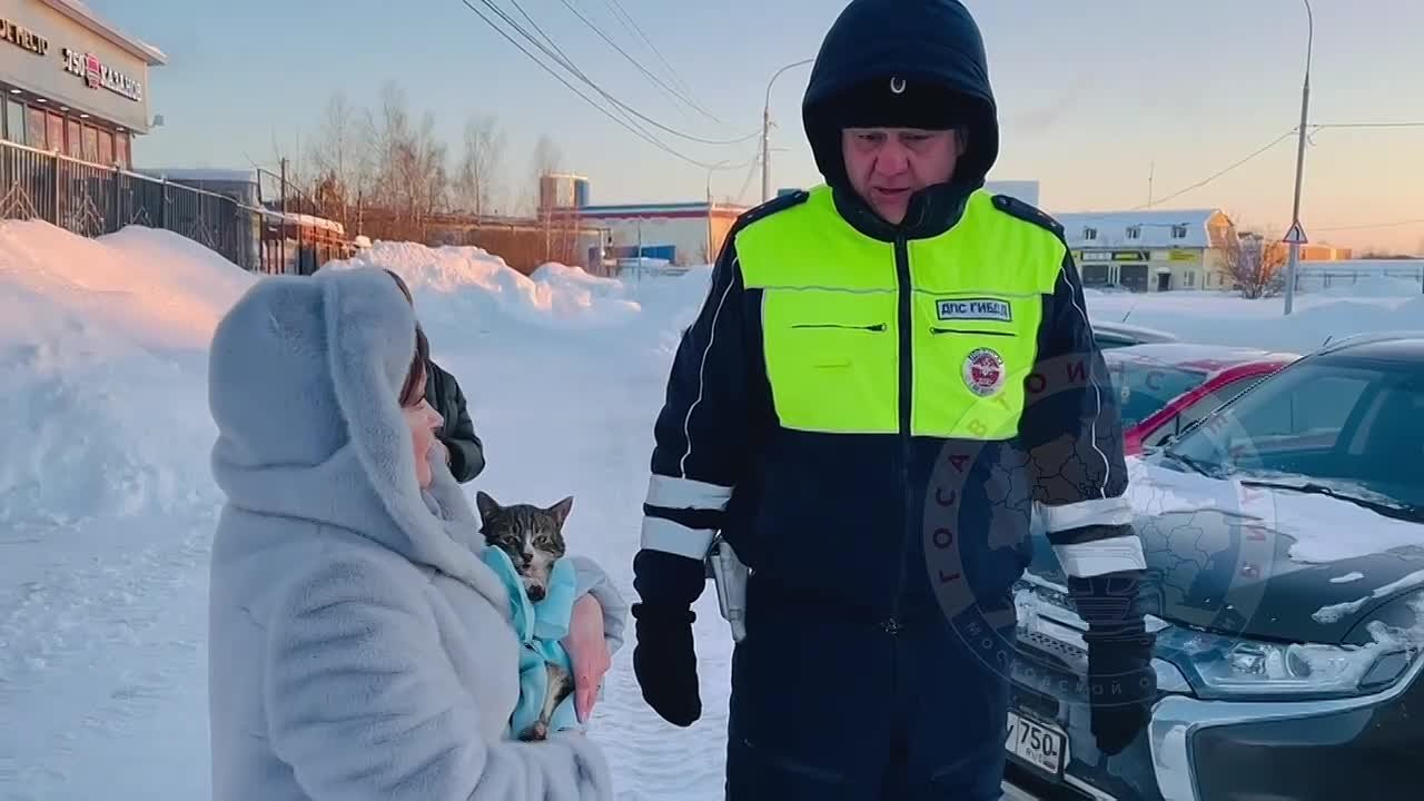 В завершение последней рабочей недели января – добрая история из Московской области, где развернулась необычная спасательная операция