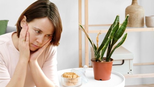 ������ ������ � �������: ����������� ������ �������� ��������� ��������