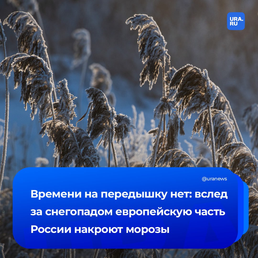 «Афанасьевские морозы» ударили по русской равнине