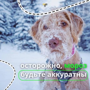 Уже почувствовали мороз? В выходные ночью ожидаем до -24°, местами на дорогах возможна гололедица