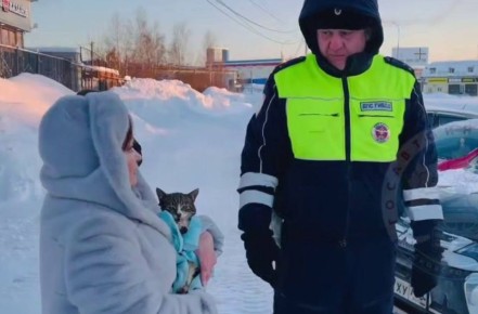 �������� ����: ���������� ��� ���������, ��� ������ ����������� ��� ������� ���������