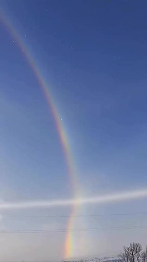 ������ ���� �������� � ���� ��� ������������