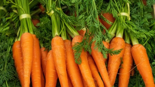 ���� ������� ��������� �� ���� �����: ������ ���� ����� ������ �������