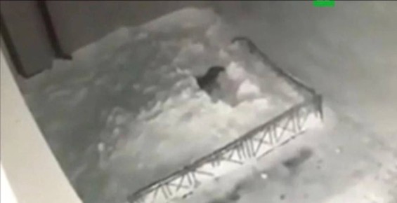 17-������ ������ ����� ����� ������� � 16-�� ����� � ����������