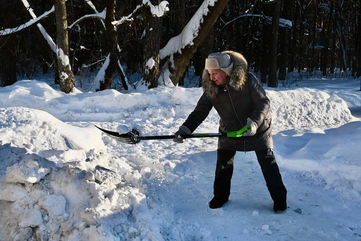 Сегодня в Жуковском прошел субботник Сегодня в Жуковском прошел субботник