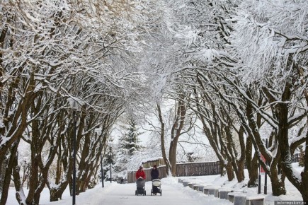 ������� �������� ������ ��������� ��� ���������� ����� � ������������