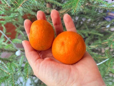 ��� ������������ ������������ ������ ��� �������� ��������