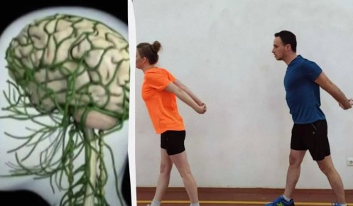 ���������� ���������� � ����: ��� ������� ��������� �����