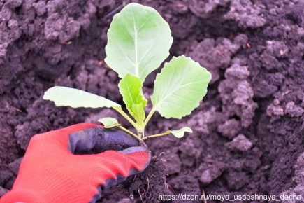 ������� ������ ��������� ������� ��� ������: ������� ��������� ������