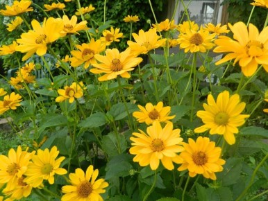 ���������: ����� ������� ��� ������ ����