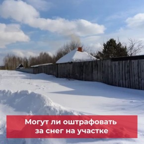 ����� �� ����������� �� ���� �� �������